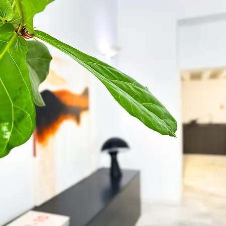 Casa Columela Grupo Ac Gestion Apartmán *